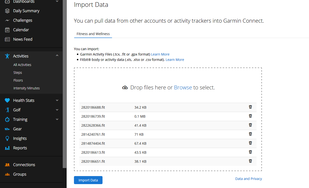 Garmin Connect Import Files selected