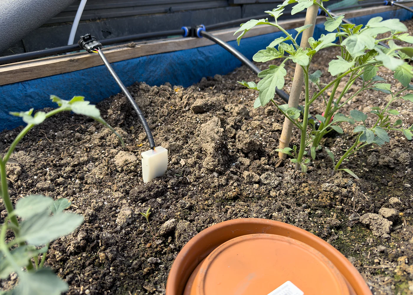 Sensor in raised bed