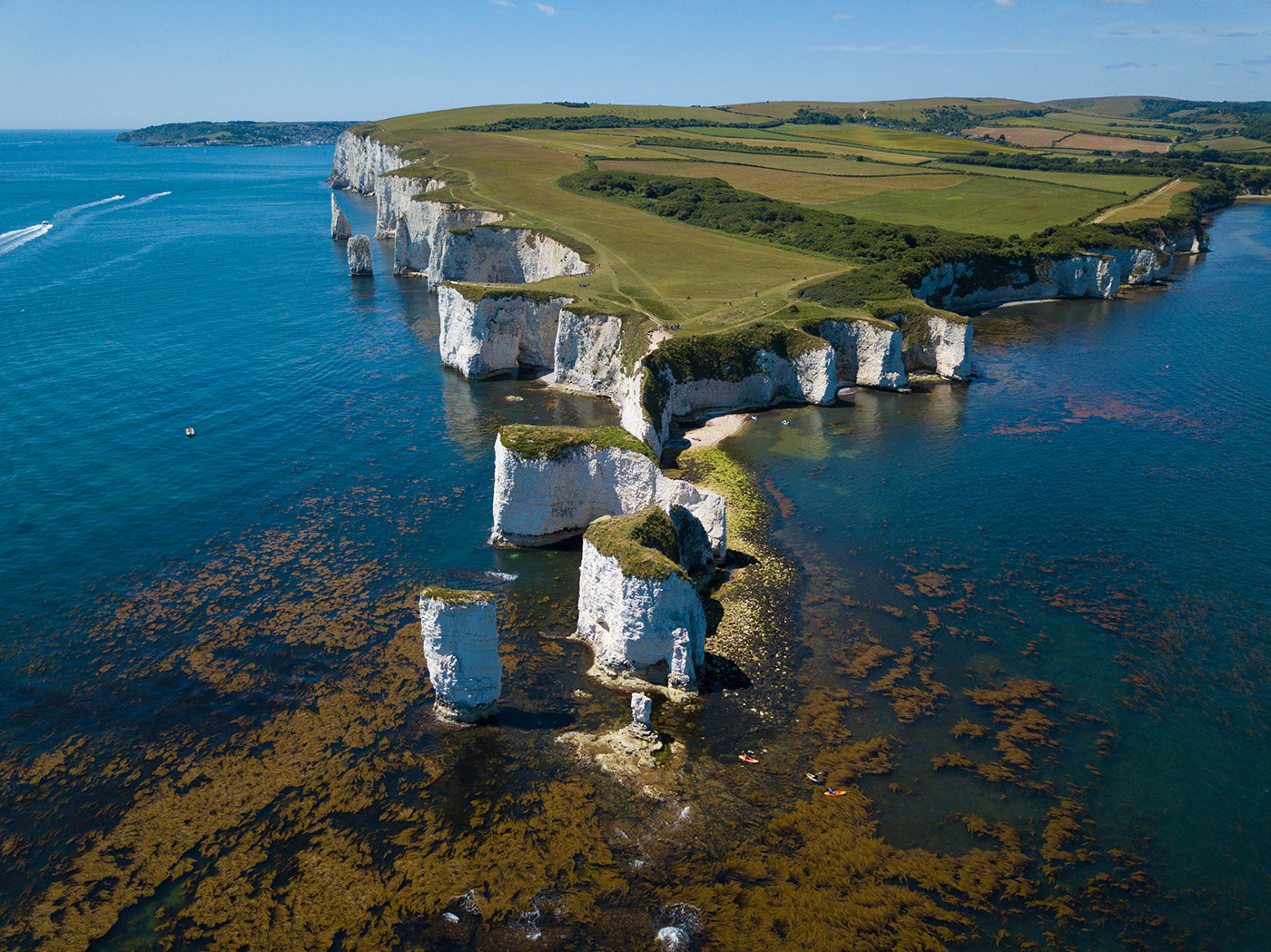 The Foreland and Old Harry