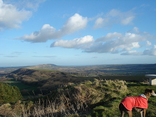above purbeck